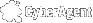 Cyberagent