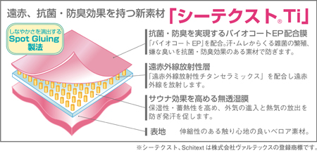 シーテクスト