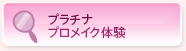 プラチナプロメイク体験