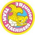 team-syachihoko