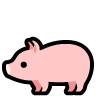 pig