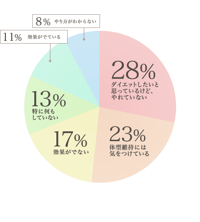 28%：ダイエットしたいと思っているけど、やれていない 23%：体型維持には気をつけている 17%：効果がでない 13%：特に何もしていない 11%：効果がでている 8%：やり方がわからない