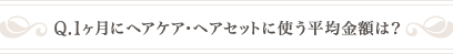 Q .1ヶ月にヘアケア・ヘアセットに使う平均金額は？