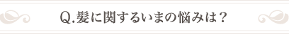 Q .髪に関するいまの悩みは？