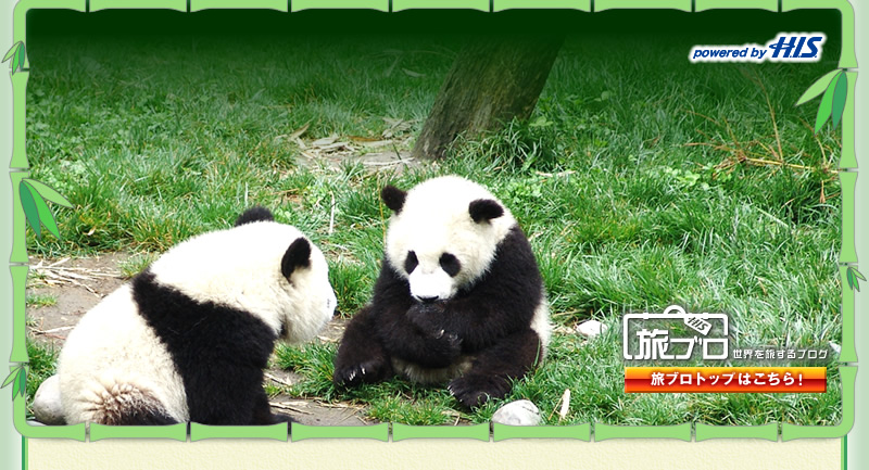 画像ファイル "http://stat100.ameba.jp/p_skin/his_usr13/img/header.jpg" は壊れているため、表示できませんでした。