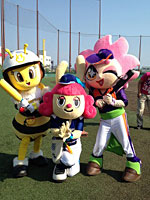日本女子プロ野球機構