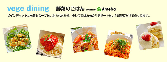 これまでの出版物３ | vege dining 野菜のごはんPowered by Ameba