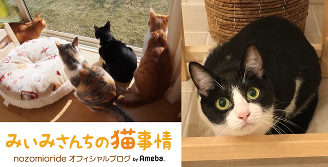 nozomioride オフィシャルブログ「みぃみさんちの猫事情」Powered by Ameba